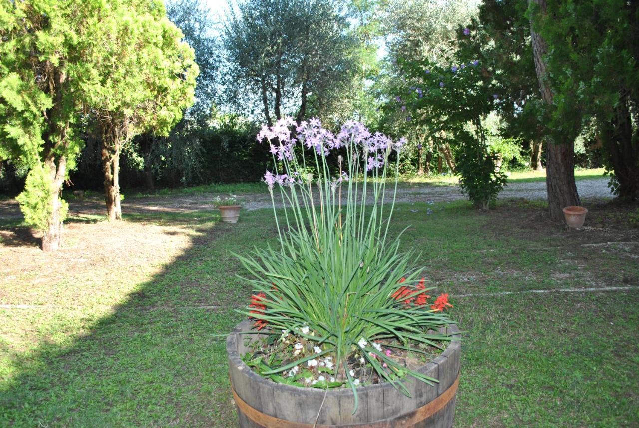 La Nicchia Alloggio per agriturismo Castelnuovo Berardenga